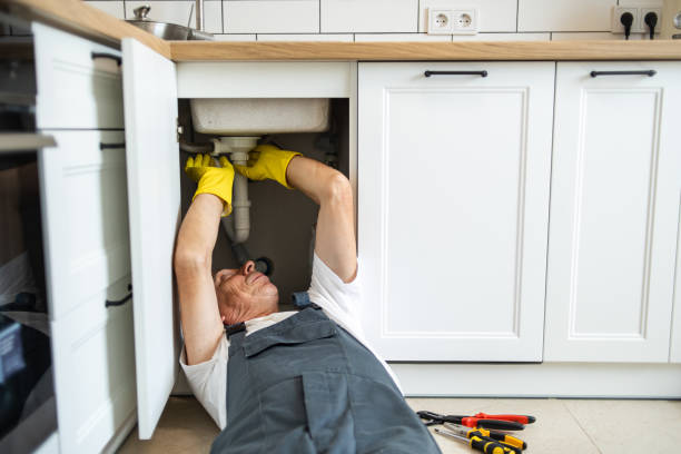 Best Toilet Repair Services  in Geneva, OH